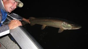 10334348_997353610279512_301451499900293867_n