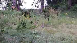 10421542_937884876226386_4249781483218054047_n