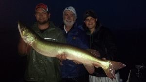 10457480_937887239559483_3599784172634208097_n