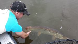 10516767_894939223854285_7159287711993468595_n