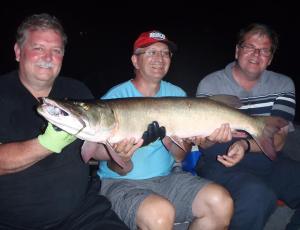 10806272_997353560279517_7870187253483353771_n