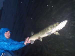 10849878_995824890432384_7896759043047536810_n