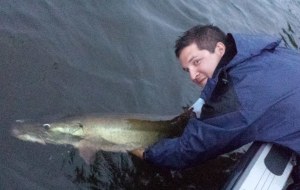 10849990_997353850279488_4944454396556959376_n