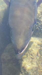 11017664_1091215350893337_804679993238530169_n