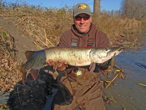 11614_977785922236281_2031462075423685482_n