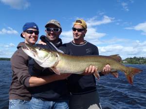 1240268_711166208898255_2069339245_n