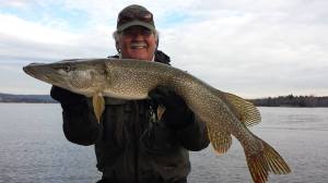 1452556_764780563536819_296640275_n