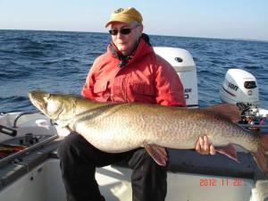 1455037_748968018451407_563728591_n