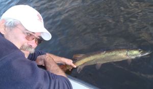 14593_997684323579774_6060866717007080963_n