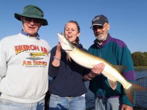 1558374_997684466913093_2588736478381616199_n