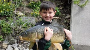 1561108_993295667351973_2494856757893515306_n