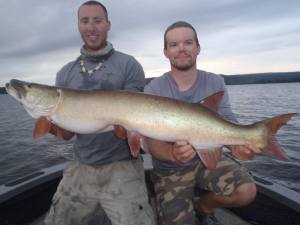 1688401_946538728694334_8731039377045503403_n