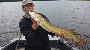 1907848_937884679559739_233997007879002271_n