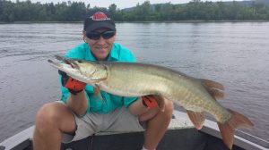 1928393_907688442579363_8735516756383390376_n