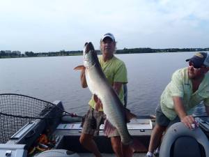 998081_697710556910487_1483405914_n