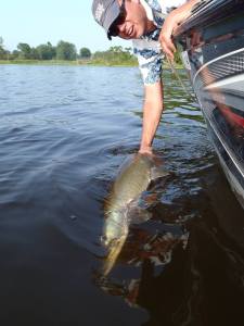 10407488_1137711302910408_1601211018756908315_n