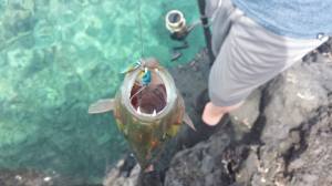 11165055_1095560710458801_3965038033636398545_n