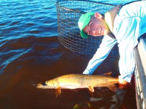 11659273_1116971118317760_2599987697418845544_n