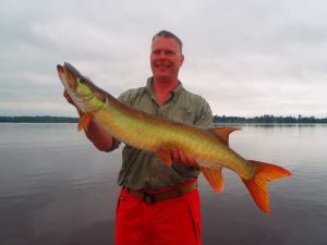 11666170_1120407907974081_4719493256034915281_n