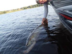 11738053_1127080163973522_1608309276654840675_n