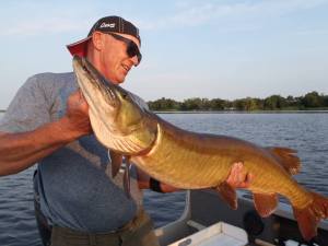 11760181_1125690440779161_8874101728668428912_n