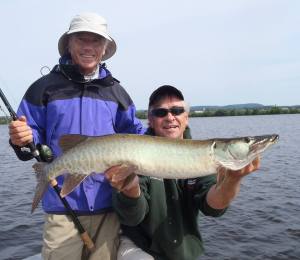 11760187_1128489280499277_6128215827246958390_n