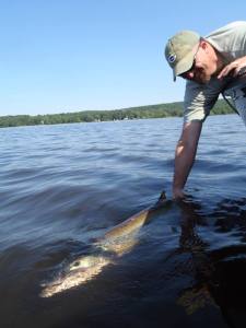 11760236_1127080193973519_3598243448522821523_n