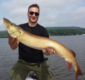 11817239_1132671363414402_3922651291341008679_n