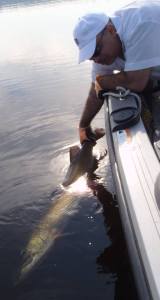 11825953_1133564056658466_2683215435824420843_n