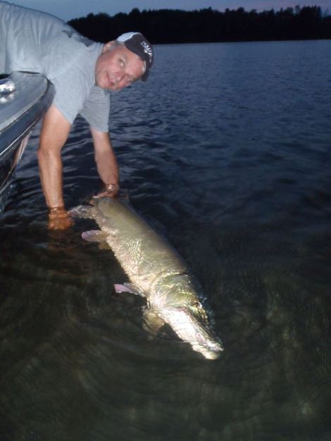 10387420_1151355094879362_8590684735436246571_n