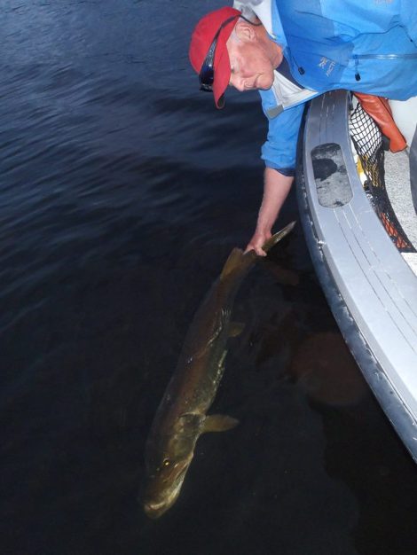 11947695_1152310374783834_8909273331412622165_n