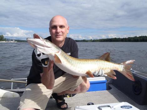 11949283_1151358828212322_8288013583725286241_n