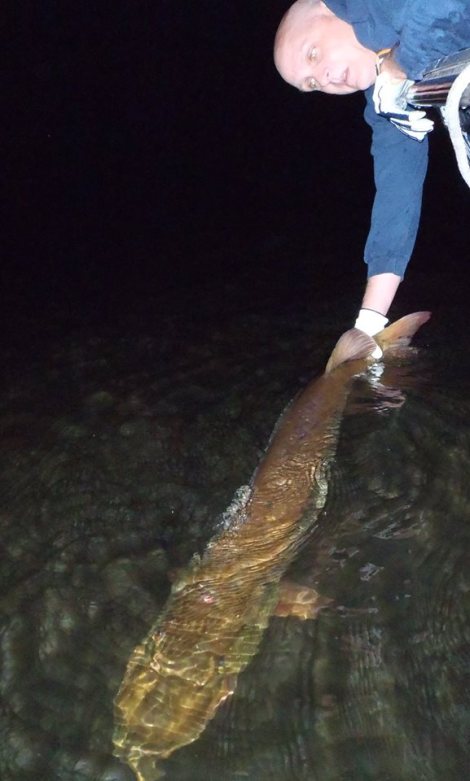 11949315_1151358831545655_8983140404448486606_n