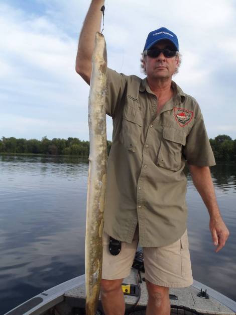 11960212_1163054100376128_6433695163862009411_n