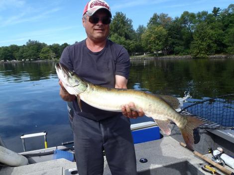 12004780_1159826204032251_2203553690622152656_n