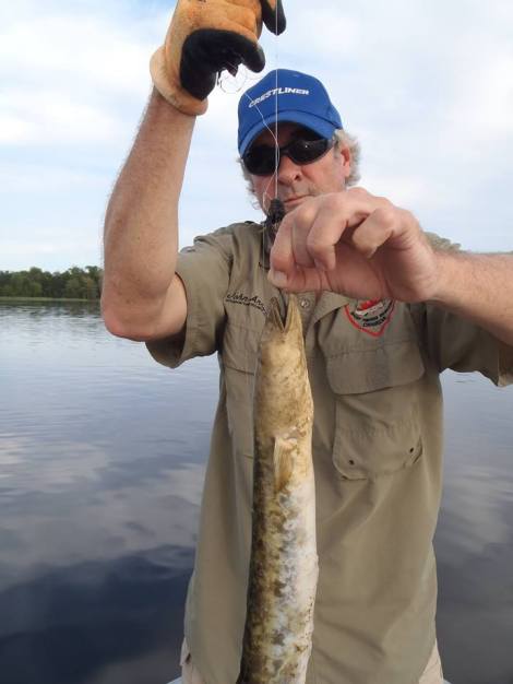 12006227_1163054093709462_7046114162184334449_n