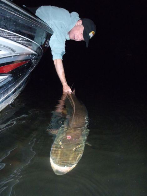 12019780_1167067876641417_1799578643319011107_n