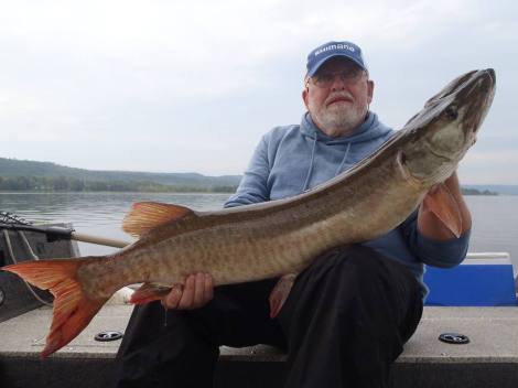 12032006_1164516123563259_2766433540571267424_n