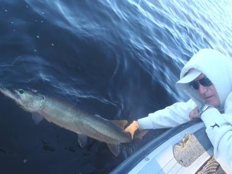 12033160_1164516146896590_8923719807072263566_n