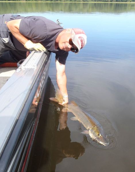 12034207_1159826200698918_2124056565554295826_o