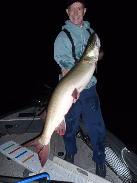 12049548_1167067883308083_6129230970459853173_n