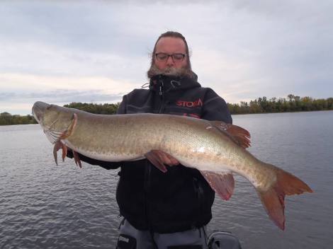 12079580_1173769019304636_4172081110482101110_n