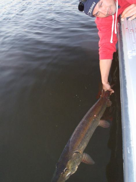 12088598_1168518449829693_6637761074106125972_n