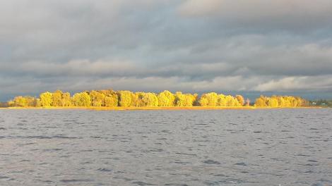 12106996_1173772542637617_5287040418925673734_n