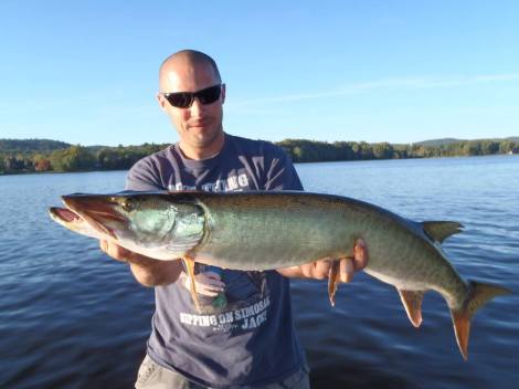 12112482_1168518413163030_2215612081724560941_n