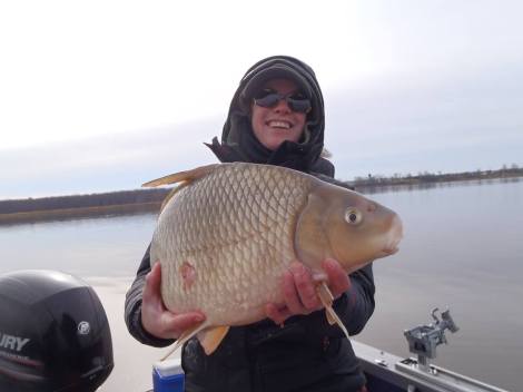 12065667_1183363658345172_8518214245108754856_n