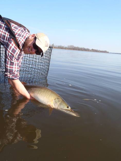 12195876_1185053111509560_2826127210824336529_n