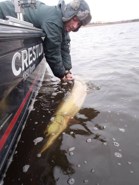 12243108_1190936250921246_8967376495455092480_n