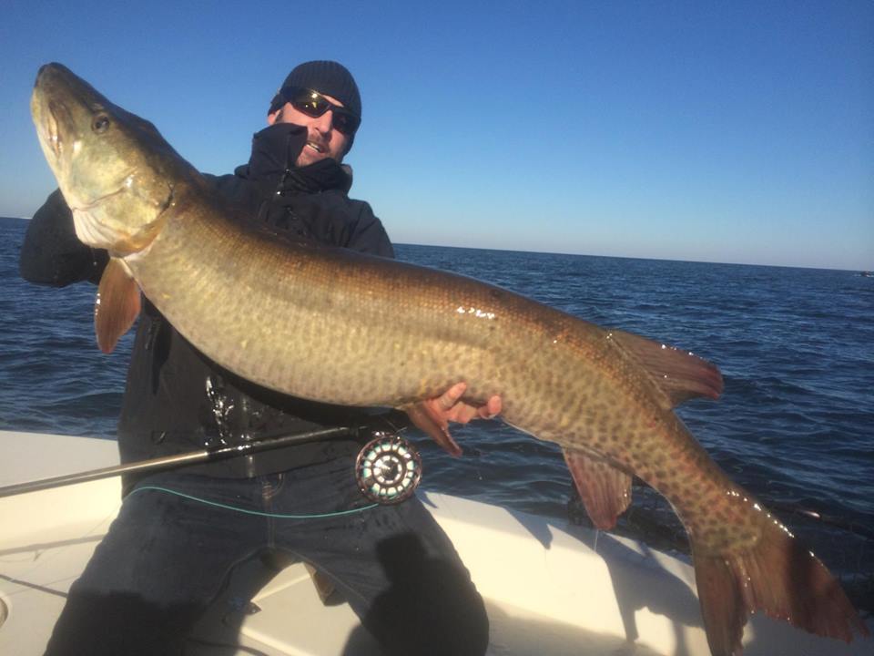New World Record Musky on the Fly – 57 x 26.5!!!! | Ottawa River Musky ...
