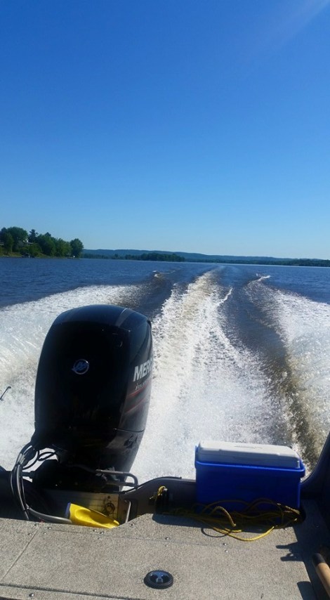 13435566_1334841766530693_5302946181430157815_n